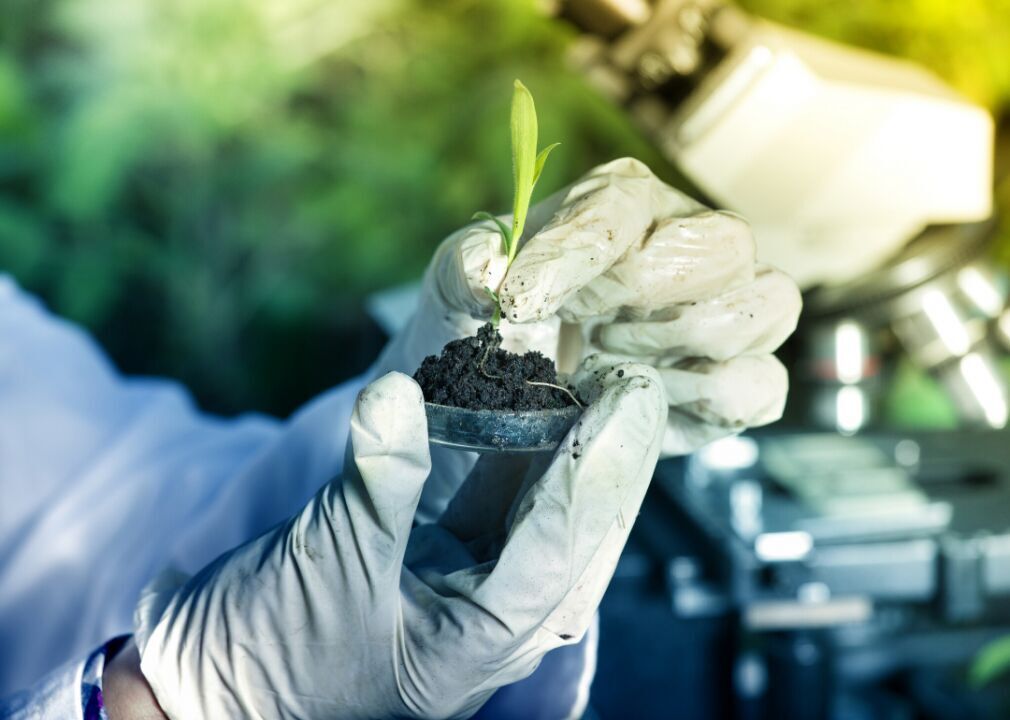 #63. Soil and plant scientists
